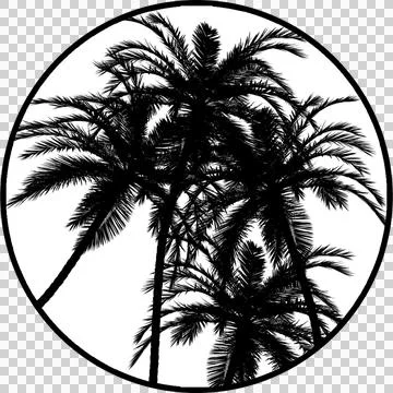 Gobos Five Palm Trees Stock-Illustration