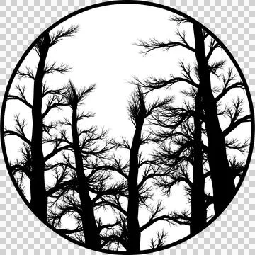 Gobos Forest Trees Without Leaves Black &amp; white Background Stock-Illustration