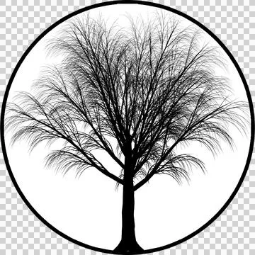  Gobos Full tree view without Leaves Stock-Illustration