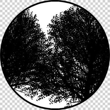  Gobos Light Dense Trees Stock-Illustration