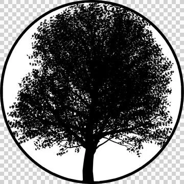 Gobos Light Tree black and white background Stock-Illustration