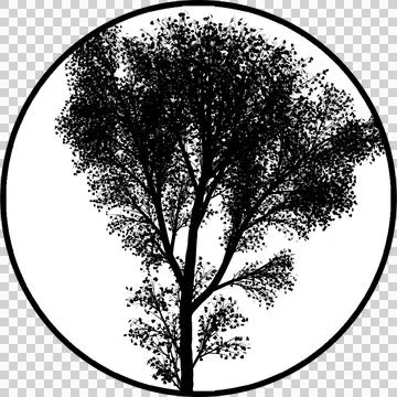 Gobos Light Tree With branches facing upward Stock-Illustration