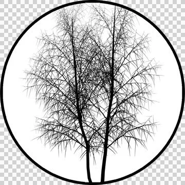 Gobos Light Two trees with no leaves Stock-Illustration