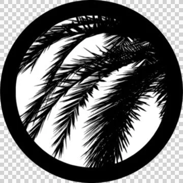 Gobos Palm Tree Branches Stock-Illustration
