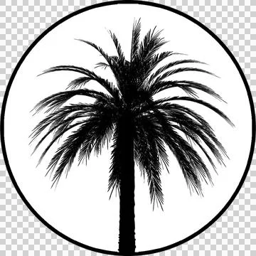 Gobos Palm Tree Stock-Illustration