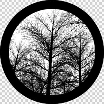Gobos Three Trees with no leaves Stock-Illustration