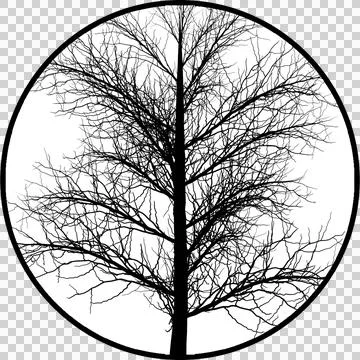 Gobos Tree with no Leaves Stock-Illustration
