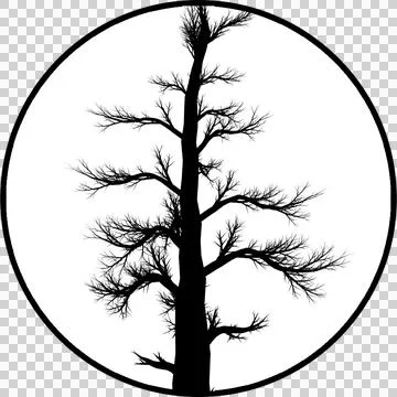 Gobos Tree with small branchs without leaves Stock-Illustration