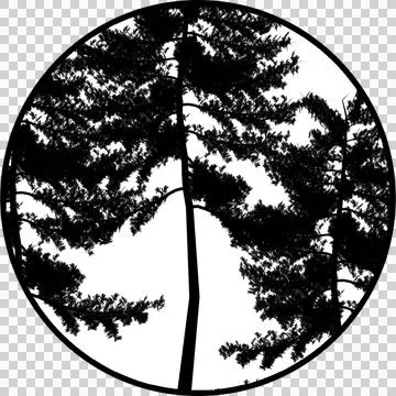 Gobos Trees Black &amp; white Stock Illustration