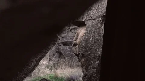 Gobustan Historical Video stock 103962977