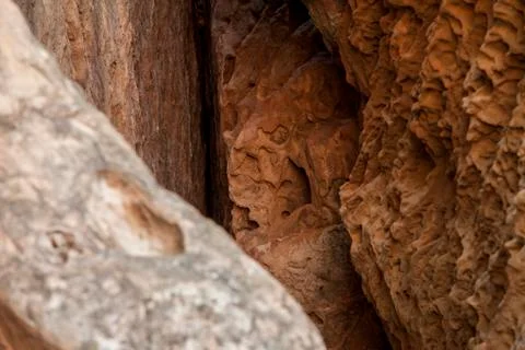 Gobustan Historical Petrographs Stock Photos