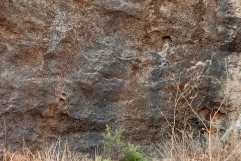 Gobustan Historical Petrographs Stock Photos