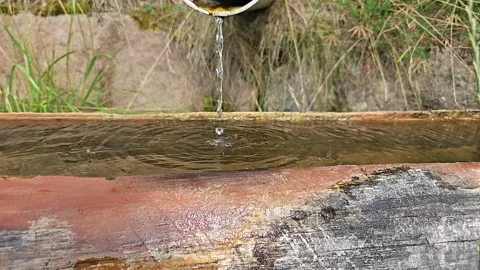 Goccia Video stock 282891424