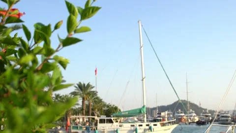 Gocek Turkey August 2017 04 Stock Footage 209896119