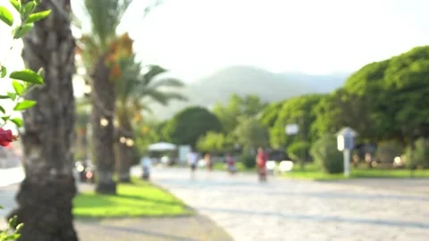 Gocek Turkey August 2017 10 Stock Footage 209897523