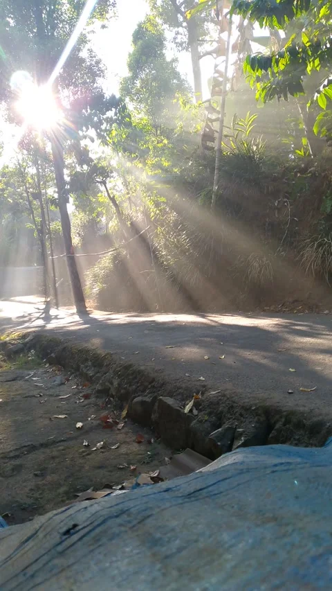God rays sunlight through trees on rural road morning in village Stock Footage 341657142