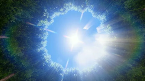 God Rays through circle tree Stock Footage 143470051