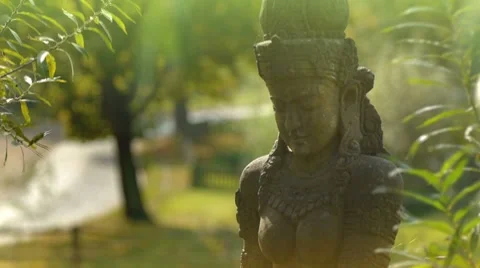 Goddness from Asia Video stock 8761445