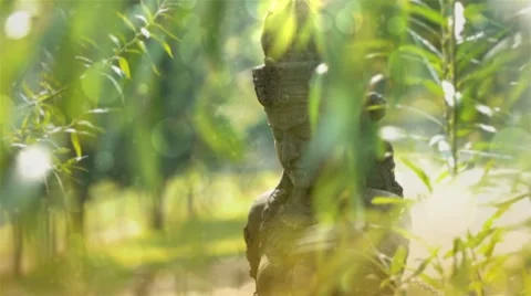 Goddness from Asia Stock Footage 8761496