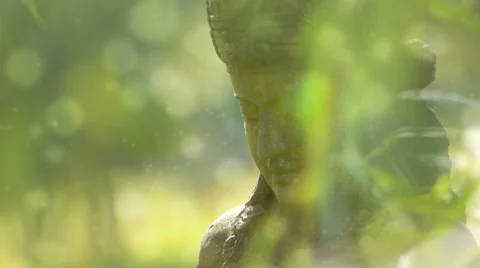 Goddness Stock Footage 8761590