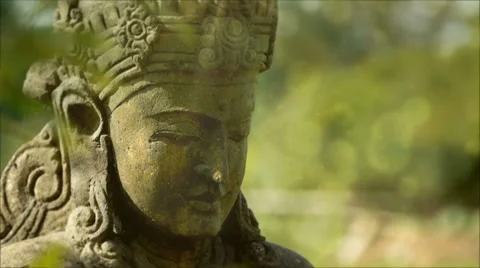 Goddness Stock Footage 8761704