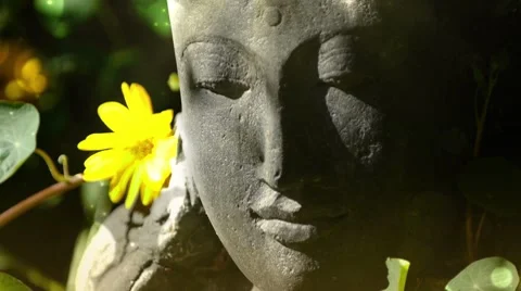 Goddness Stock Footage 8761752