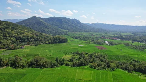 Godean area green rice fields valley, Yogyakarta, Kulon Progo, Indonesia Vídeos de archivo 339298623