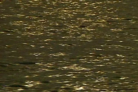 Godwater Stock Footage 285096