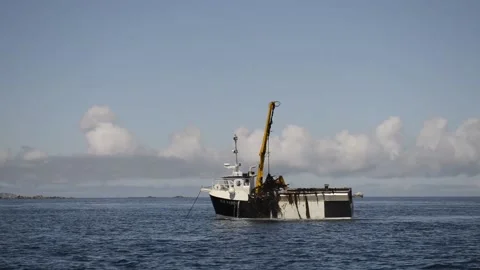 Goémonier Stock Footage 141047739