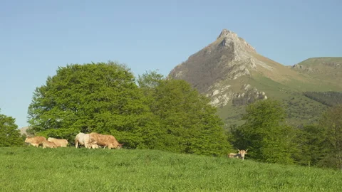 Goierri landscape, Txindoki mountain in Basque Country Video stock 152471777