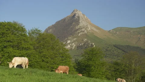 Goierri landscape, Txindoki mountain in Basque Country Video stock 152472821