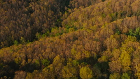 Goierri landscape, Txindoki mountain in Basque Country Video stock 152477613