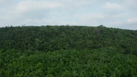 Going up aerial shot of dense forest Stock Footage 109202158