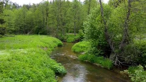 Going along narrow transparent river in the wild with green banks Stock Footage 169929215