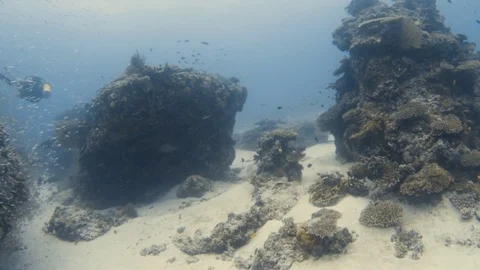 Going between two coral reefs Stock Footage 82736848