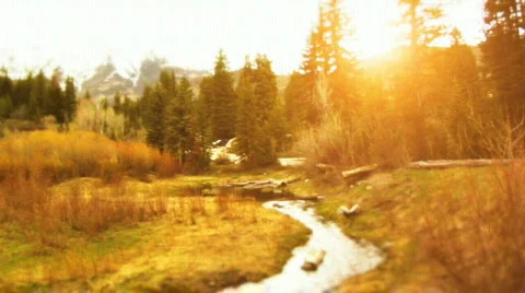 Going Camping Stock Footage 725698