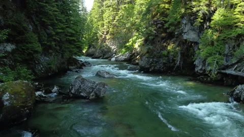 Going with the current down a creek in a forest canyon Stock Footage 163166809