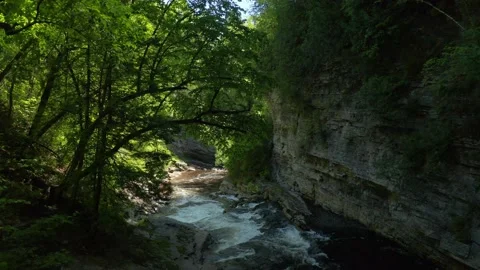 Going down in a Canyon with a river in summer from droneCanyon Stock Footage 156338079