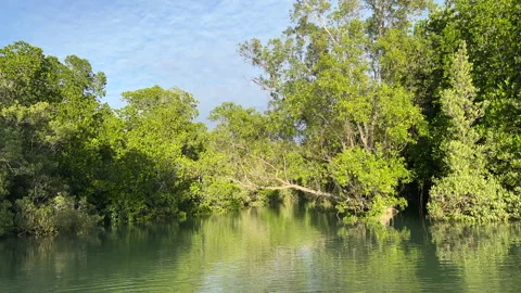 Going down a creek in Bynoe Harbour in the Northern Territory of Australia  Stock Footage 200930199