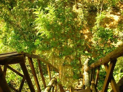 Going down to the ground Stock Photos