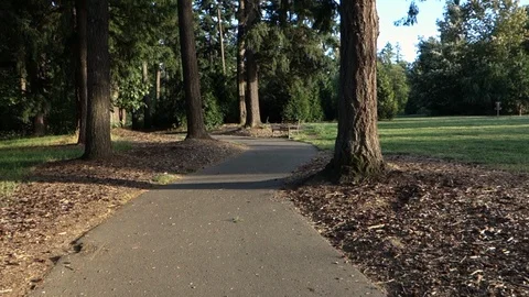 Going down a park trail Stock Footage 113243007