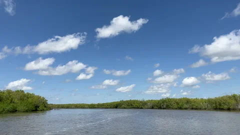 Going Down River Stock Footage 180263642