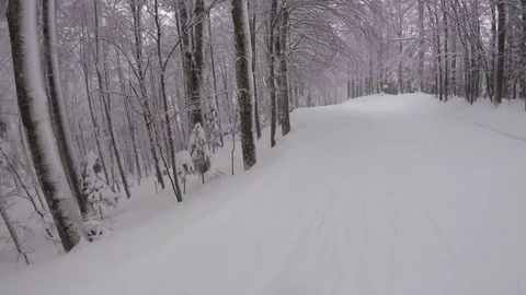 Going down on a ski track in the snowy wood Video stock 84201412