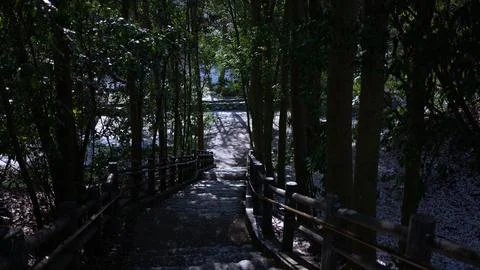 Going down the stairs between the trees Foto stock