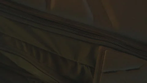 Going Exploring Stock Footage 319918305