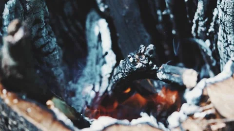 Going into a fire pit. Stock-Footage 241288686