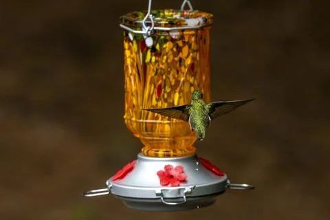 Going in Flight Stock Photos