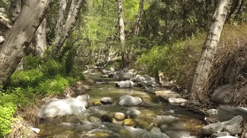 Going With the Flow of Life Stock Footage 240028421