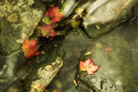 Going with the flow Stock Photos