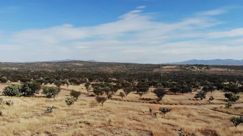 Going up Stock Footage 277676315